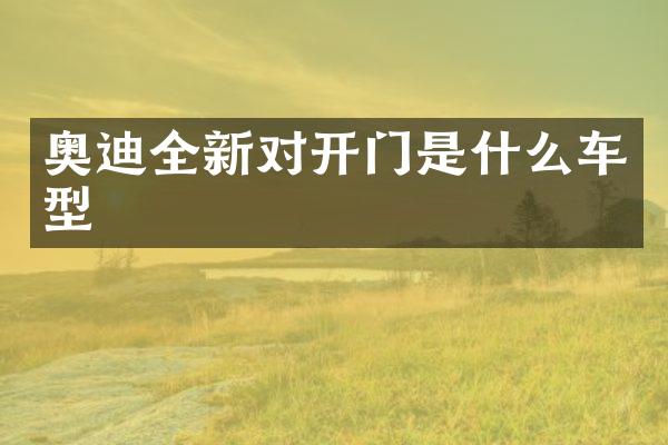 奥迪全新对开门是什么车型