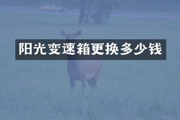 阳光变速箱更换多少钱