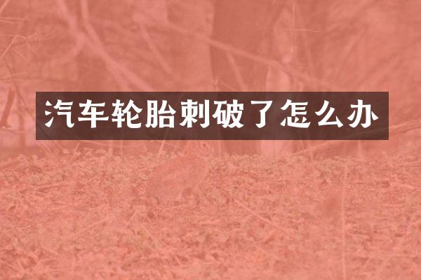 汽车轮胎刺破了怎么办