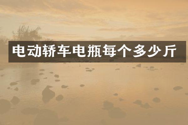 电动轿车电瓶每个多少斤
