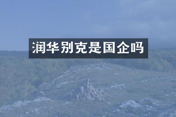润华别克是国企吗