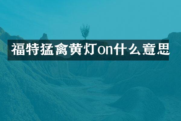 福特猛禽黄灯on什么意思