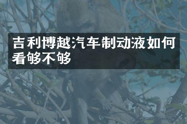 吉利博越汽车制动液如何看够不够