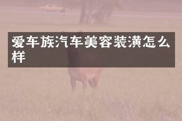 爱车族汽车美容装潢怎么样