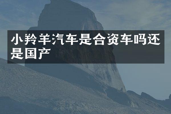 小羚羊汽车是合资车吗还是国产