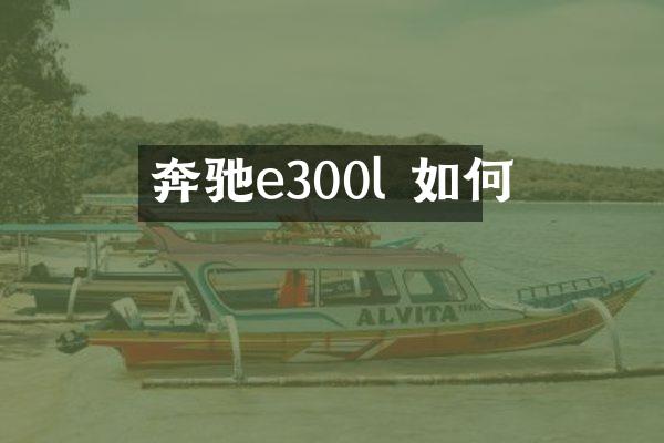 奔驰e300l 如何