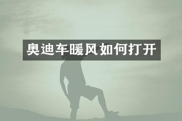 奥迪车暖风如何打开