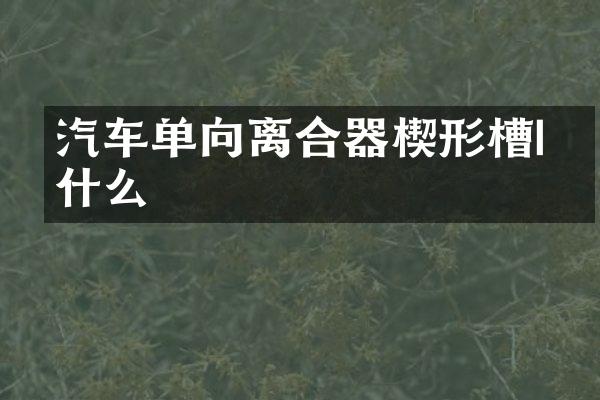 汽车单向离合器楔形槽I是什么