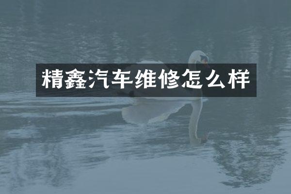 精鑫汽车维修怎么样
