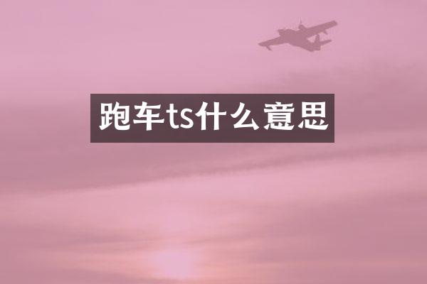 跑车ts什么意思