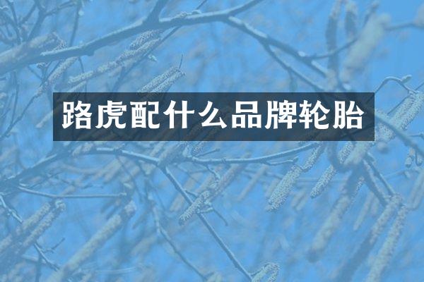 路虎品牌轮胎