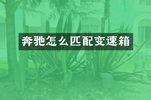 奔驰怎么匹配变速箱