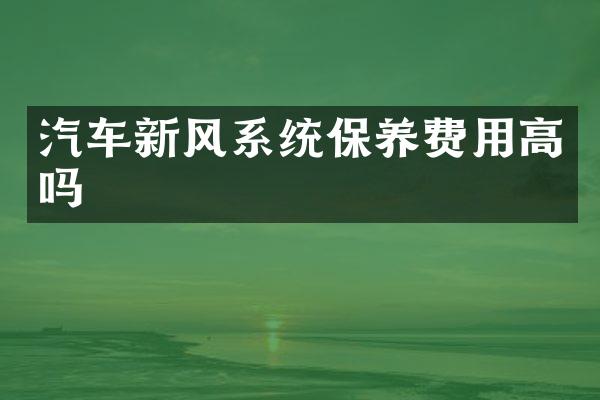 汽车新风系统保养费用高吗