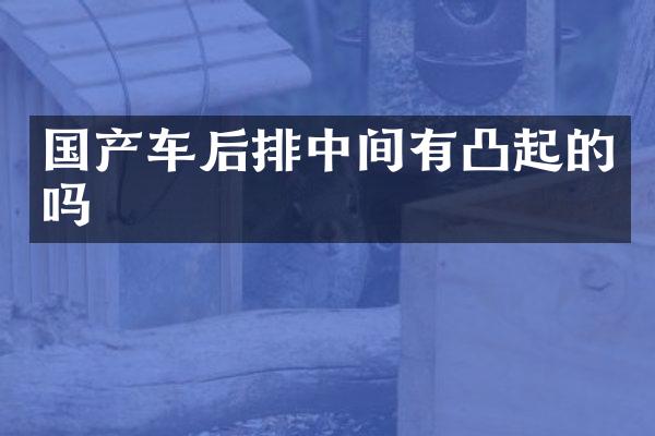 国产车后排中间有凸起的吗