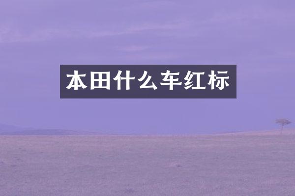 本田什么车红标