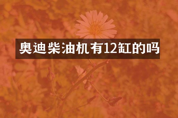 奥迪柴油机有12缸的吗