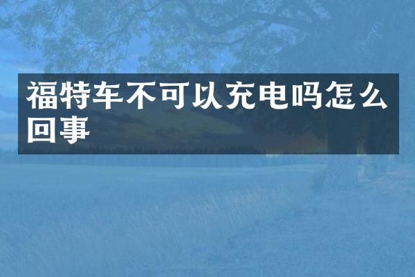 福特车不可以充电吗怎么回事