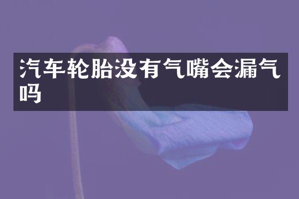 汽车轮胎没有气嘴会漏气吗
