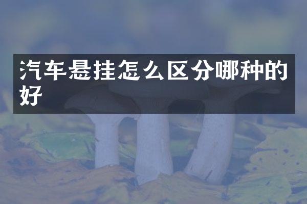 汽车悬挂怎么区分哪种的好