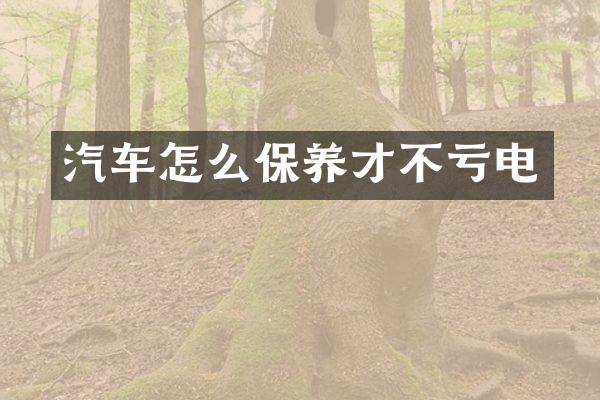 汽车怎么保养才不亏电