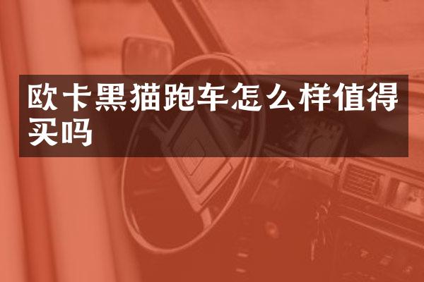 欧卡黑猫跑车怎么样值得买吗