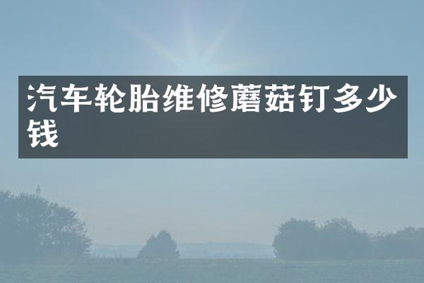 汽车轮胎维修蘑菇钉多少钱