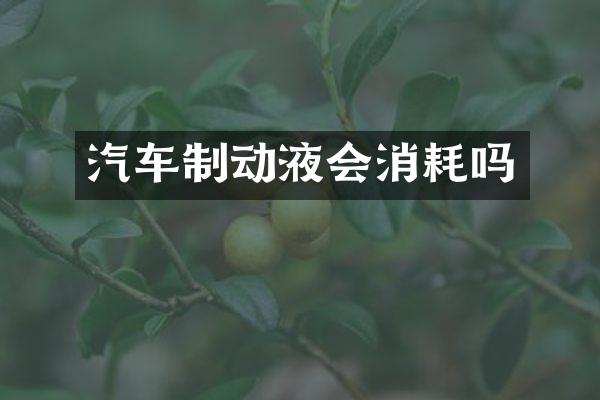 汽车制动液会消耗吗