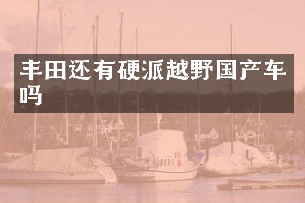 丰田还有硬派越野国产车吗