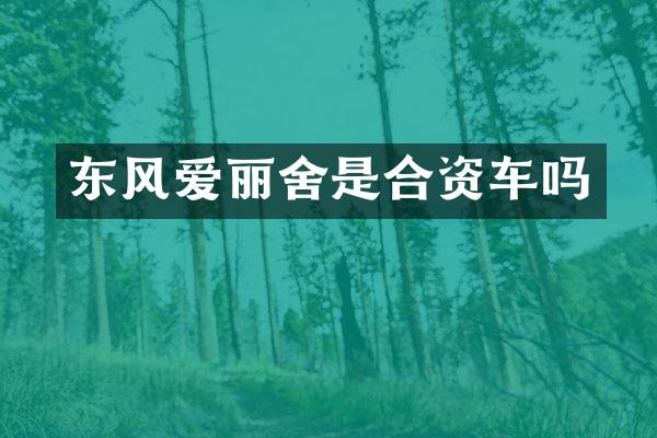 东风爱丽舍是合资车吗