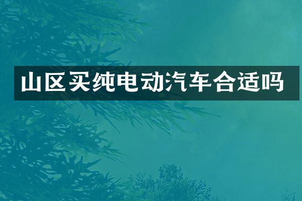 山区买纯电动汽车合适吗