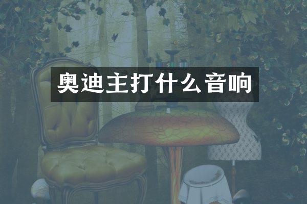 奥迪主打什么音响