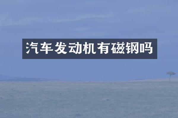 汽车发动机有磁钢吗