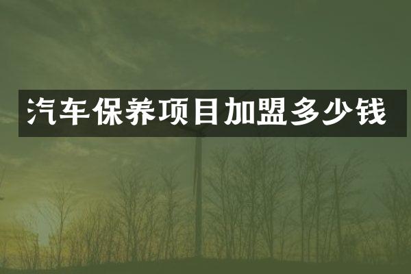 汽车保养项目加盟多少钱