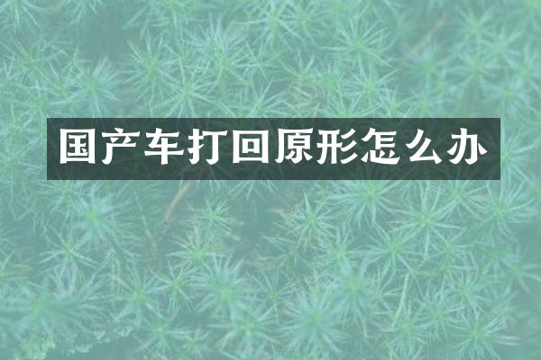 国产车打回原形怎么办