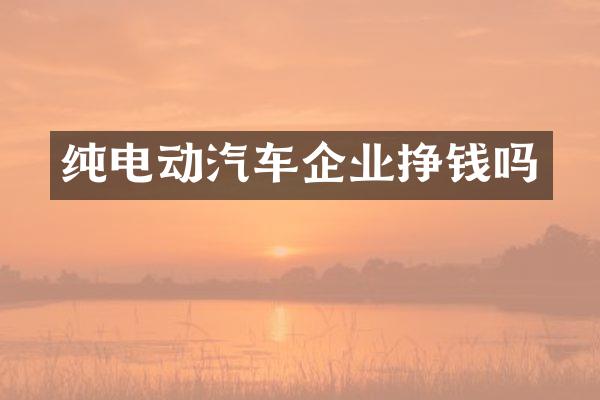 纯电动汽车企业挣钱吗