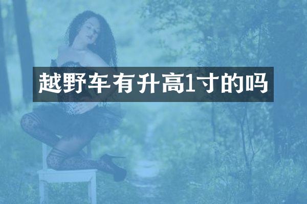 越野车有升高1寸的吗