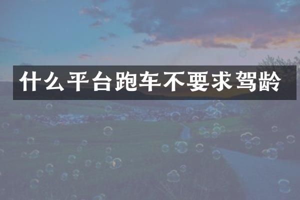 什么平台跑车不要求驾龄