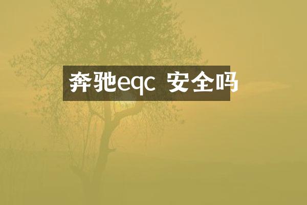 奔驰eqc 安全吗