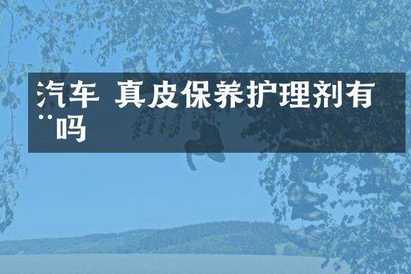 汽车 真皮保养护理剂有用吗