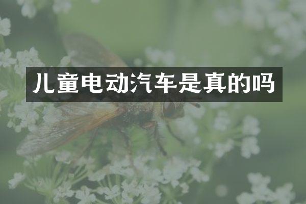 儿童电动汽车是真的吗