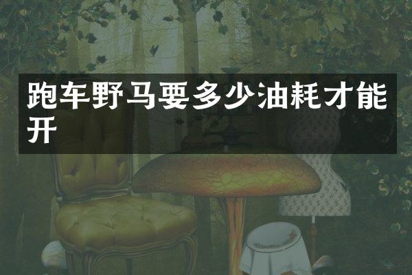 跑车野马要多少油耗才能开