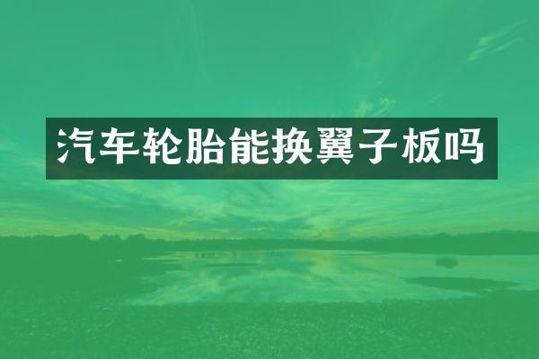 汽车轮胎能换翼子板吗