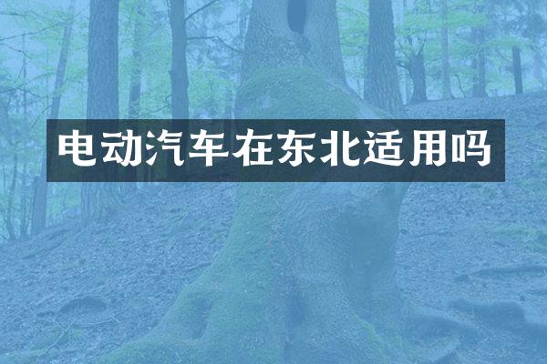 电动汽车在东北适用吗