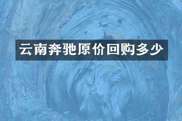 云南奔驰原价回购多少
