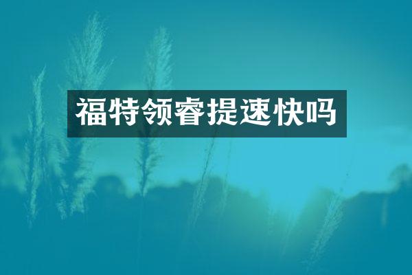 福特领睿提速快吗