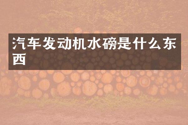 汽车发动机水磅是什么东西