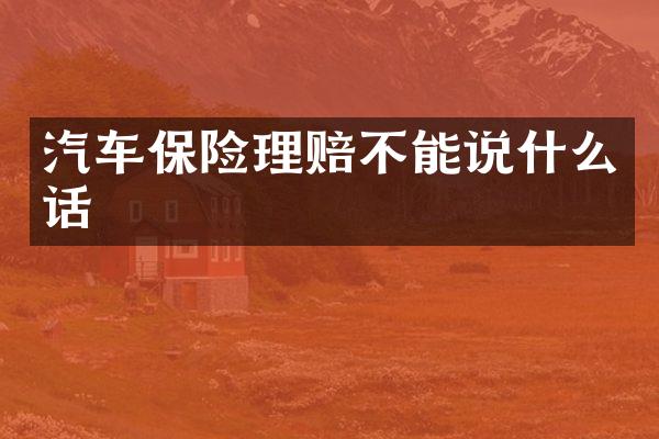 汽车保险理赔不能说什么话