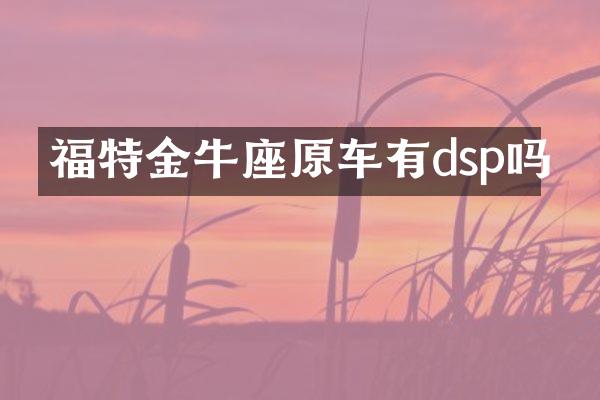 福特金牛座原车有dsp吗