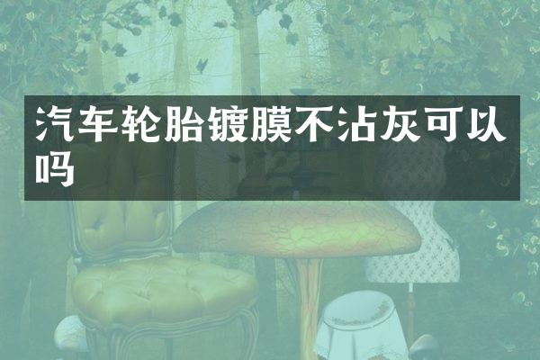 汽车轮胎镀膜不沾灰可以吗