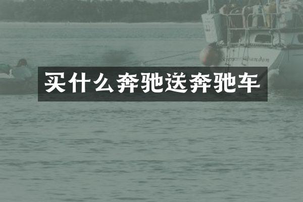 奔驰送奔驰车
